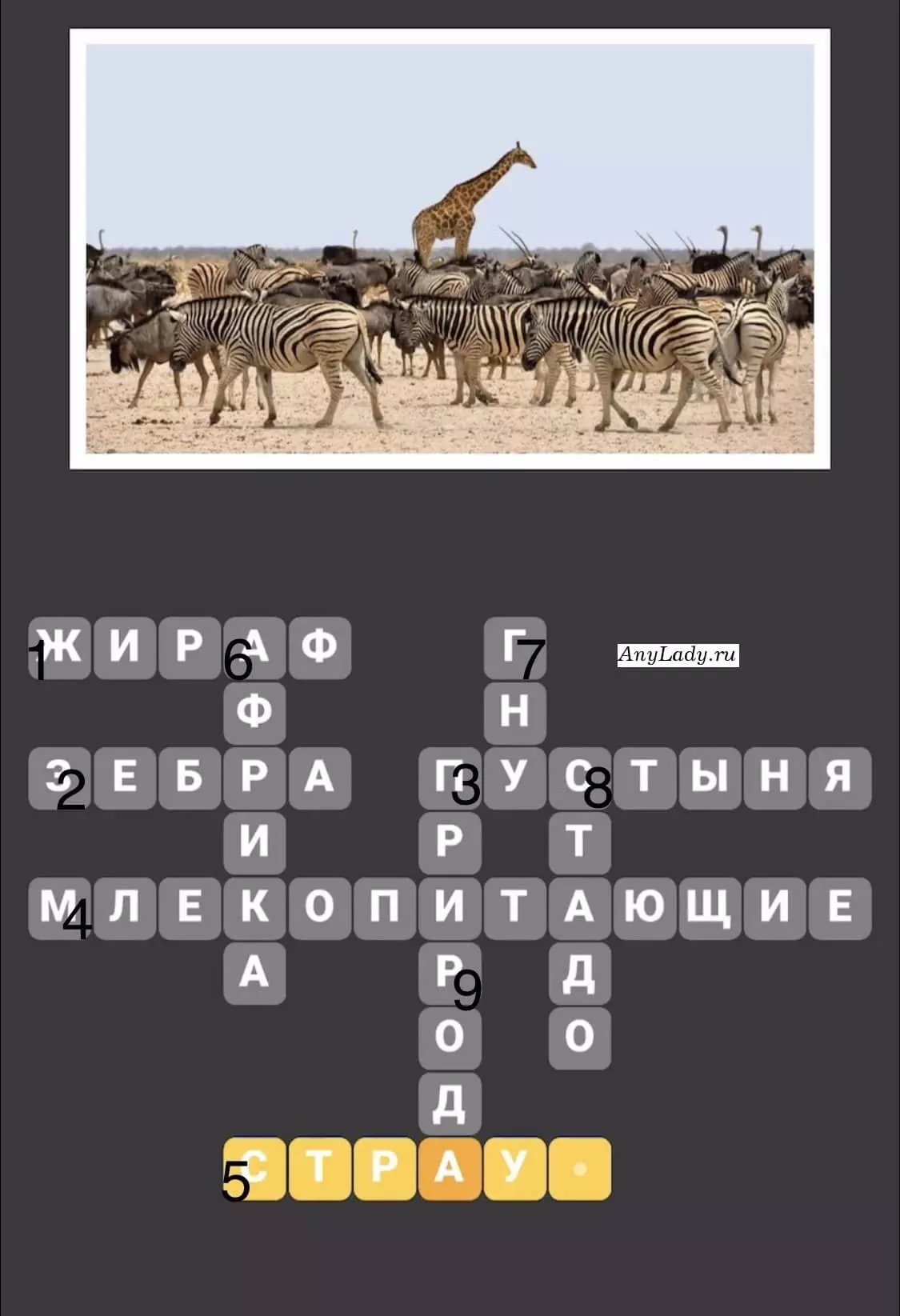 По горизонтали:
1. Жираф
2. Зебра
3. Пустыня
4. Млекопитающие
5. Страус
По вертикали:
6. Африка
7. Гну
8. Стадо
9. Природа
