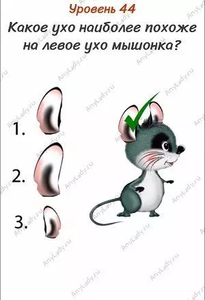 Уровень 44 Какое ухо наиболее похоже на левое ухо мышонка? Выберите левое ухо у мышонка.